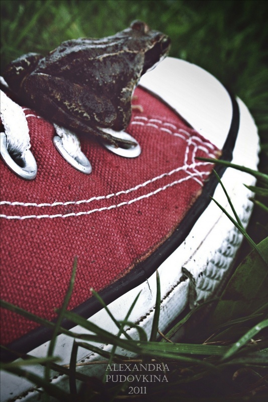 "Ich bin hier Herr Hauptmann!"