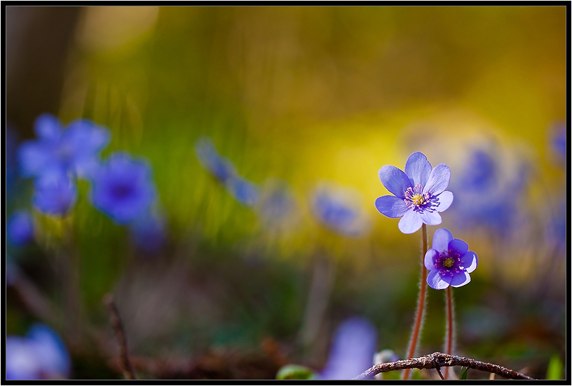 Mach dir keine Sorgen, ich bin mit dir ...