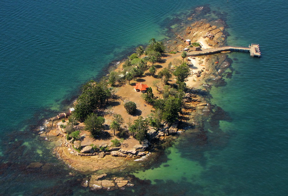 Insel der Haie (Shark Island)