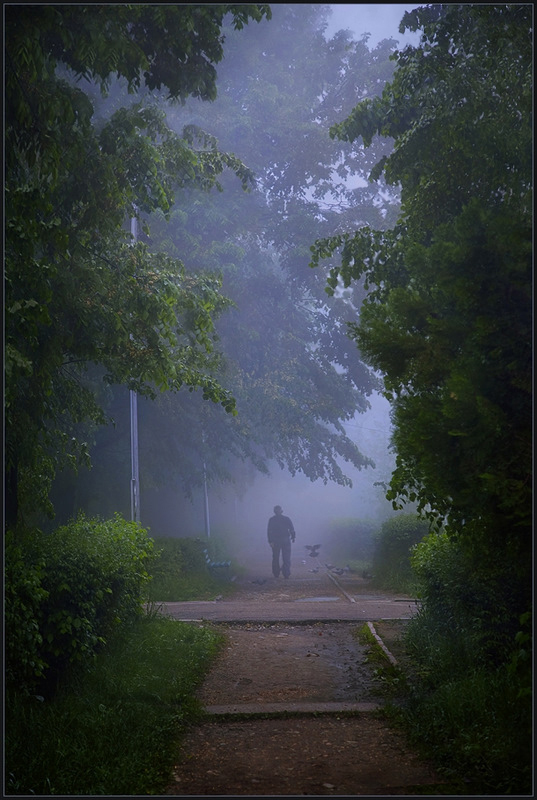 Morgen im Park * ...