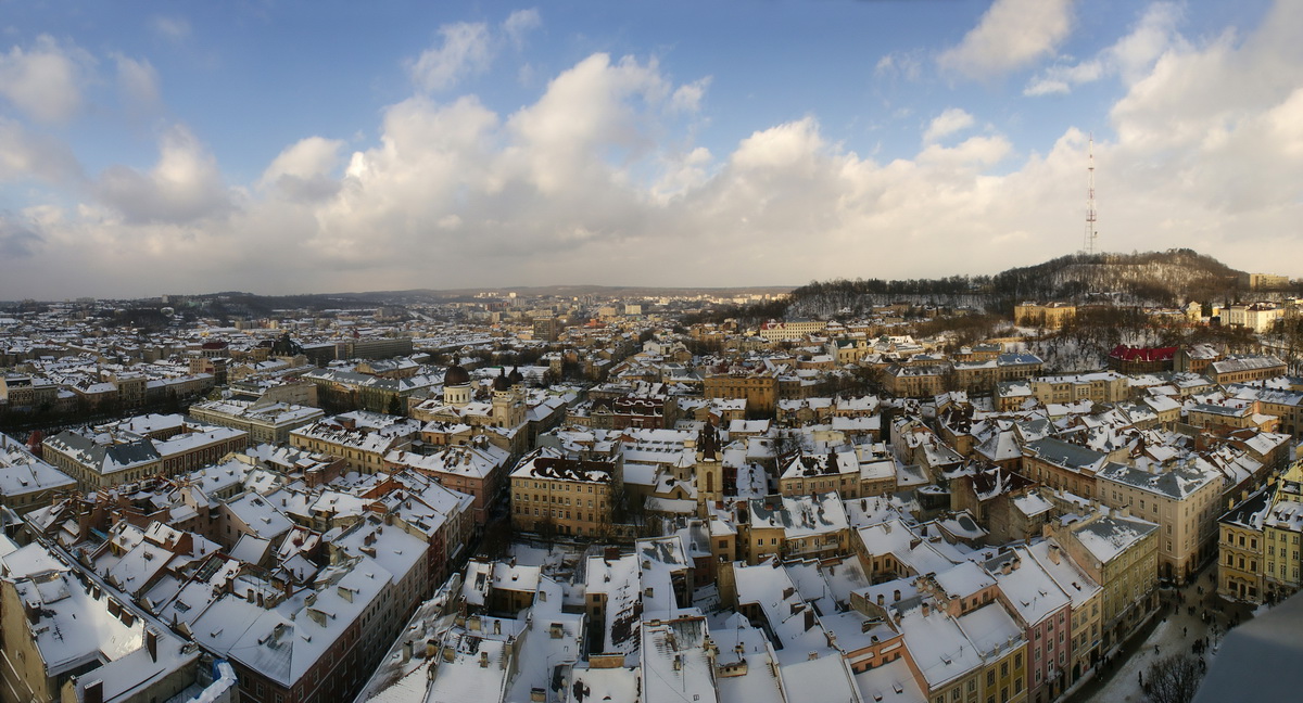 Die Dächer von Lemberg