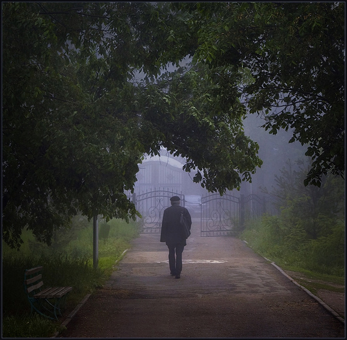 Morgen im Park ** ...