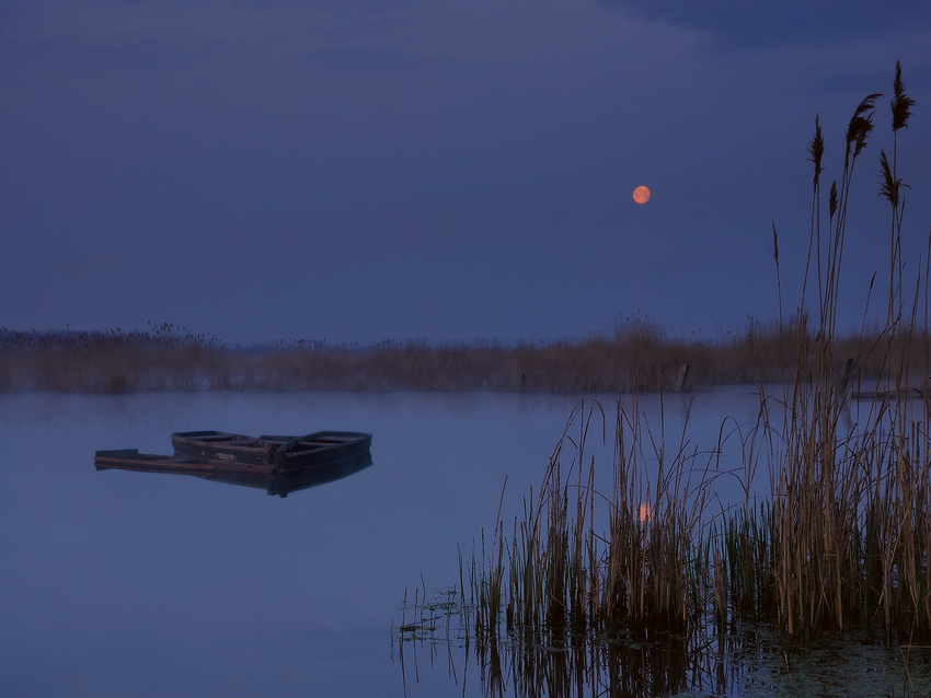 Im Nebel auf dem Morgengrauen
