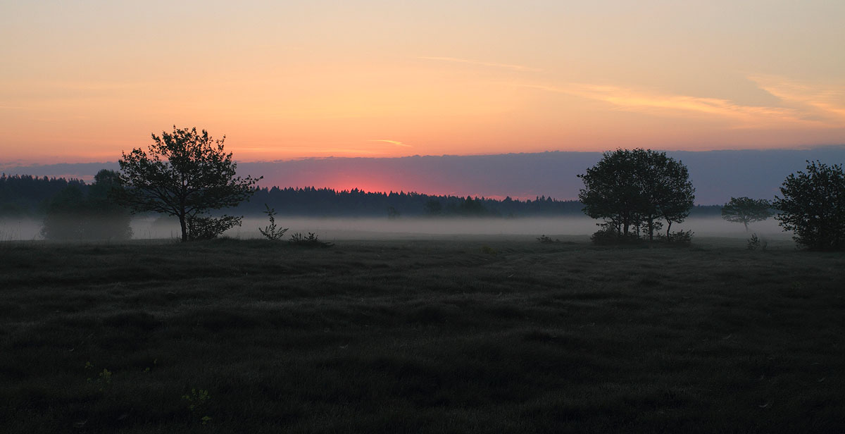 Es gibt weit über den Wald
