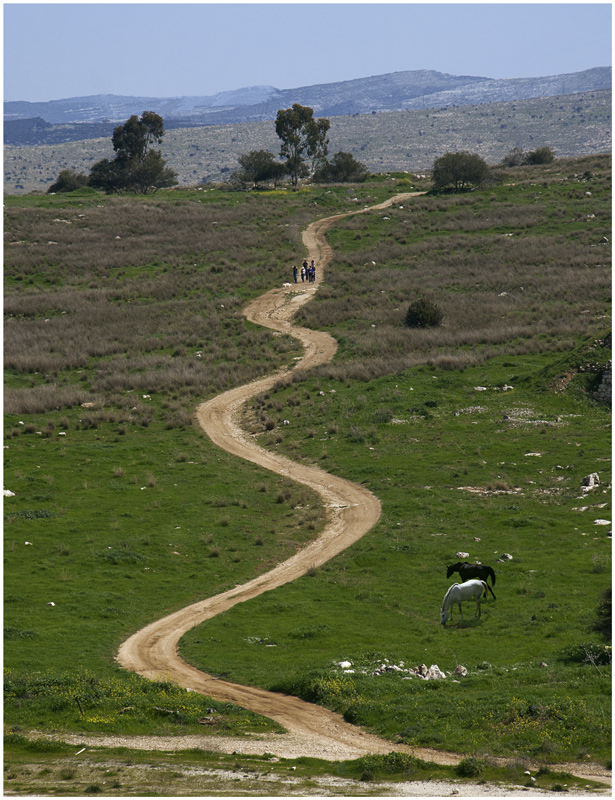 Wo bist du, ein Fußweg?
