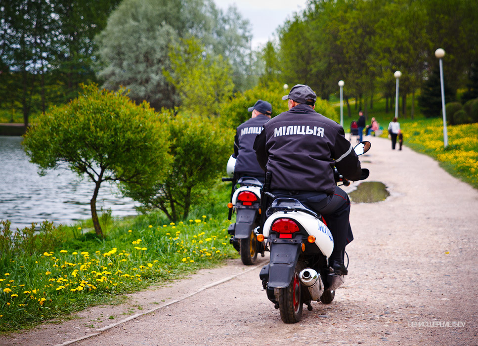 Portrait in a Landscape