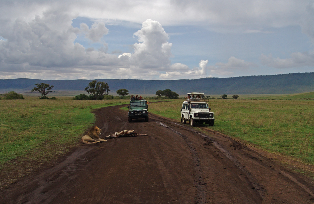 Bummer mit Mittagessen