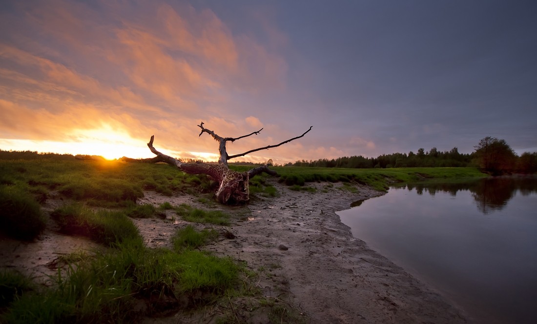 Entsetzen bei Sonnenuntergang ...