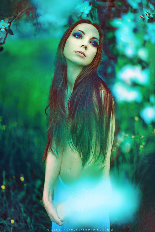 in the apple yard... #9909