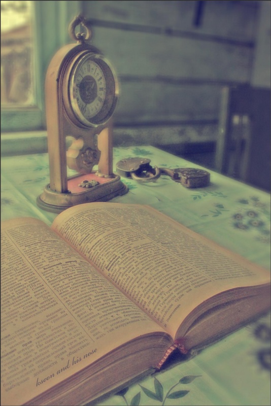 Buch - eine Sperre für die Zeit