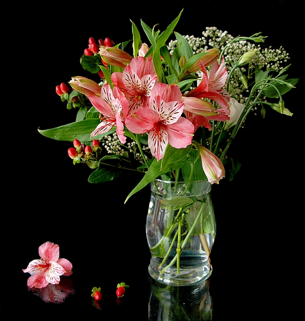 Alstroemeria