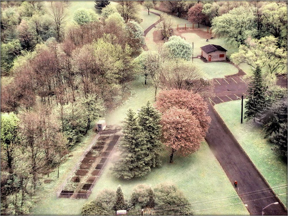 Feder aus dem Fenster