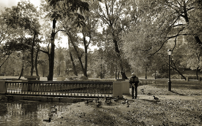 Der alte Mann und die Enten