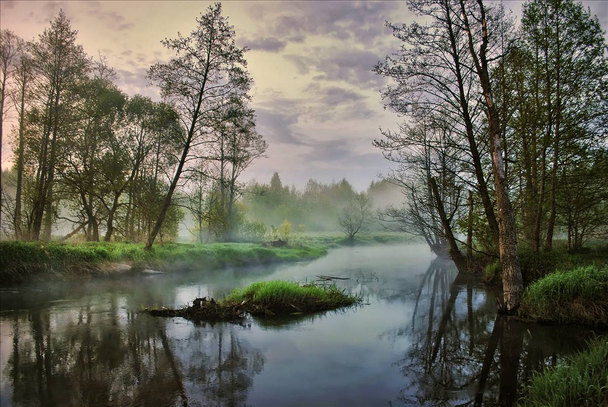 Morgen auf dem Fluss