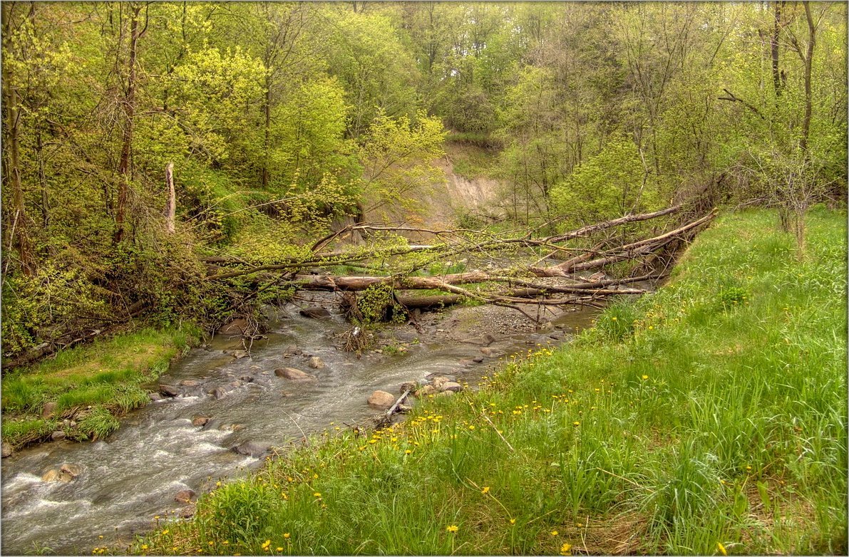 Frühjahr laufen Taylor