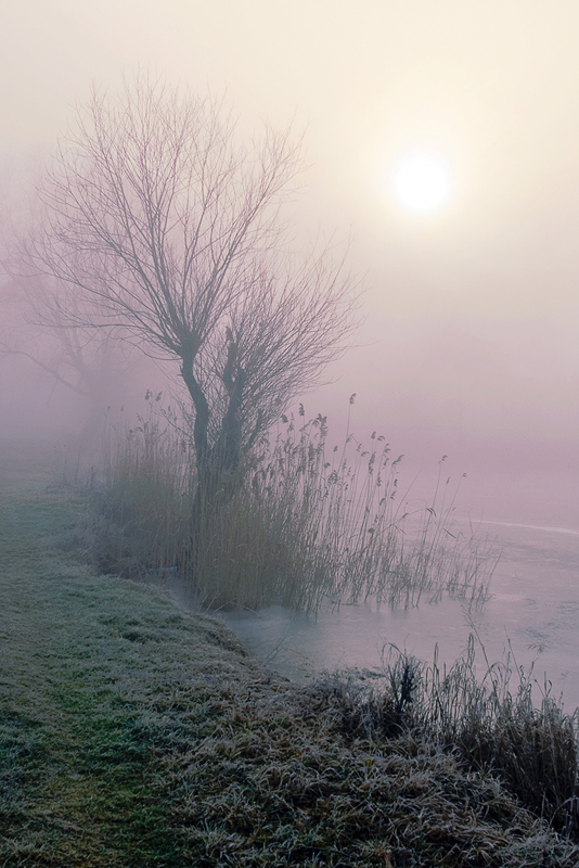 Wie ein Traum hinreißenden Nebel