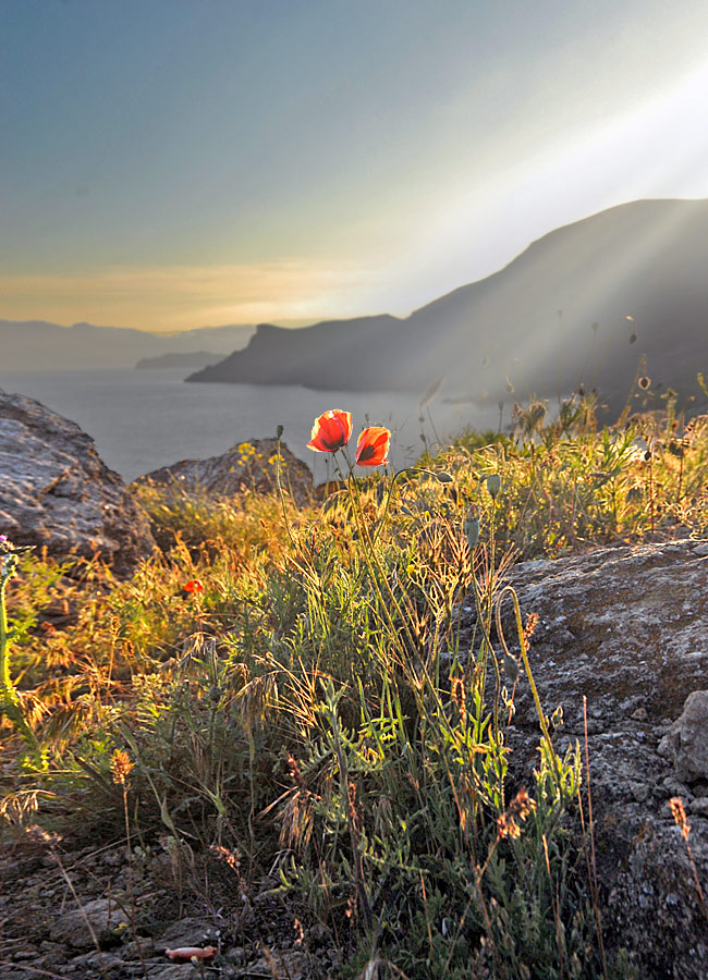 Frühling Sonnenuntergang