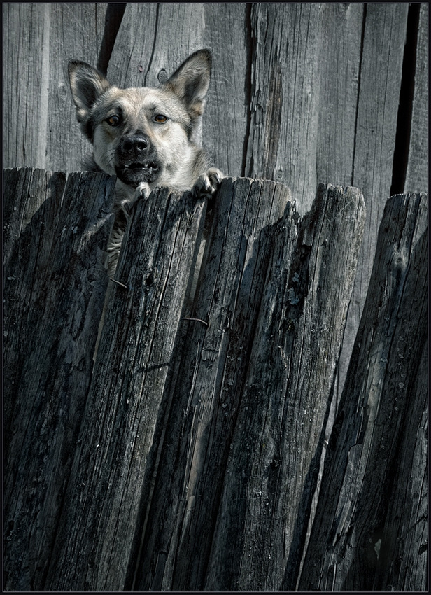 Gespräch zu diesem Thema ...