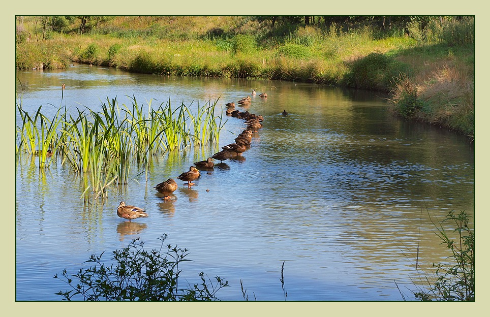 "Rrravnyays! Smirrna !":))