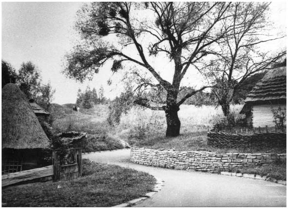 Museum für Architektur.