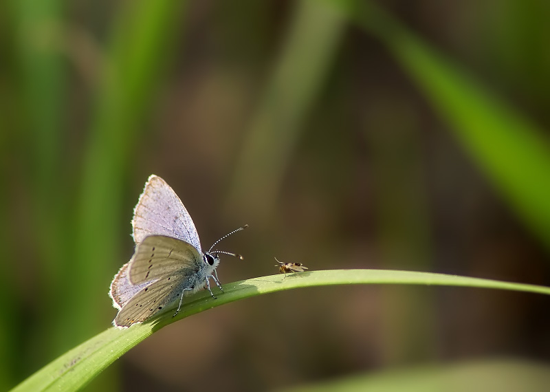 Nun, das Russell? Gesperrt all the way!