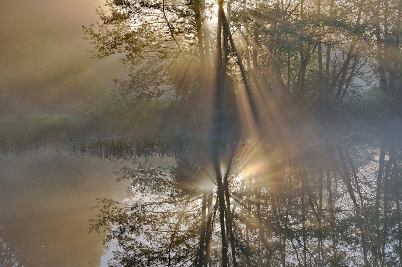 Schlacht von Farben ...