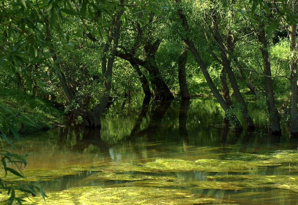 "Im Schatten des rettenden chill ..."