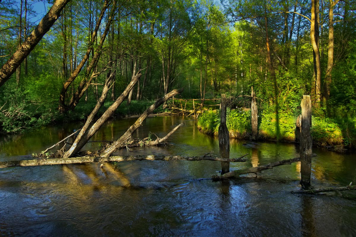 Die Brücke und die Brücke