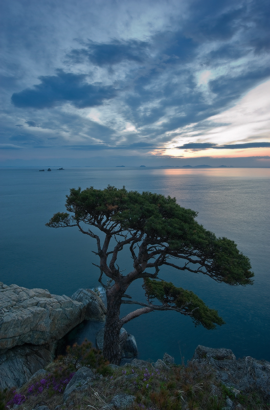 Morgen am Kap Telyakovsky