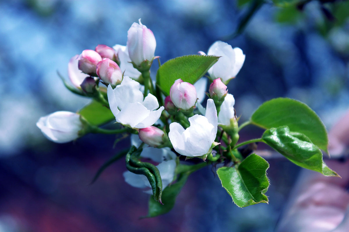 Studieren in Blautönen