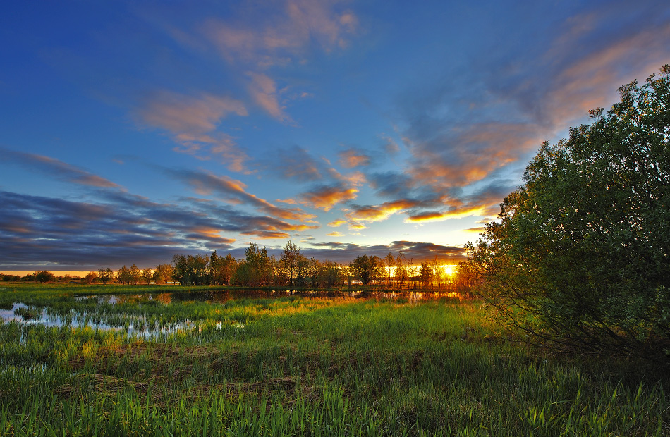 Aufwärts strömenden Gold Feuer