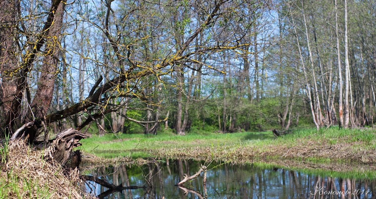 Der Frühling ist gekommen