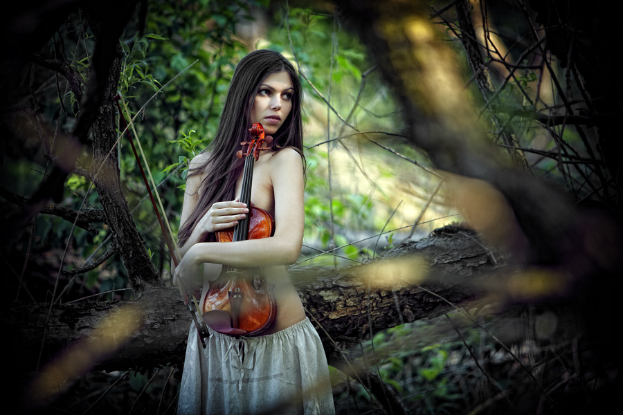 Porträt einer Violine (Sonnenuntergang)