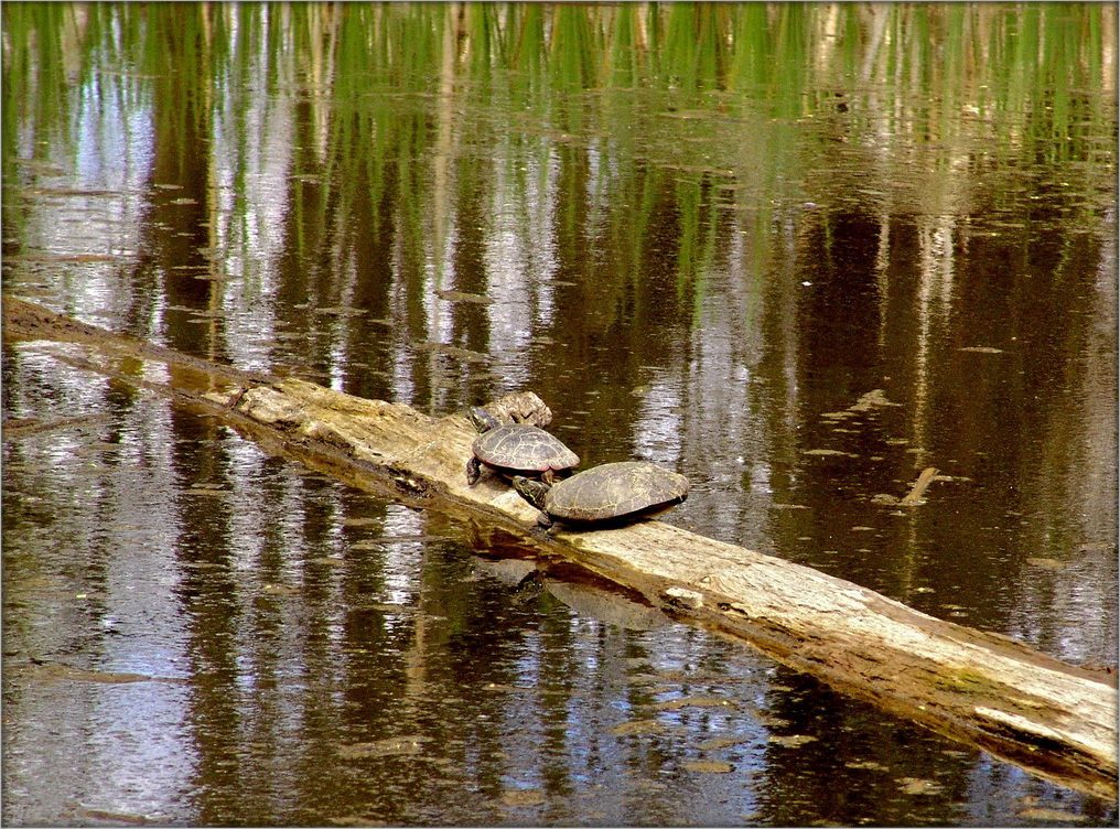 langen Weg zu fallen auf