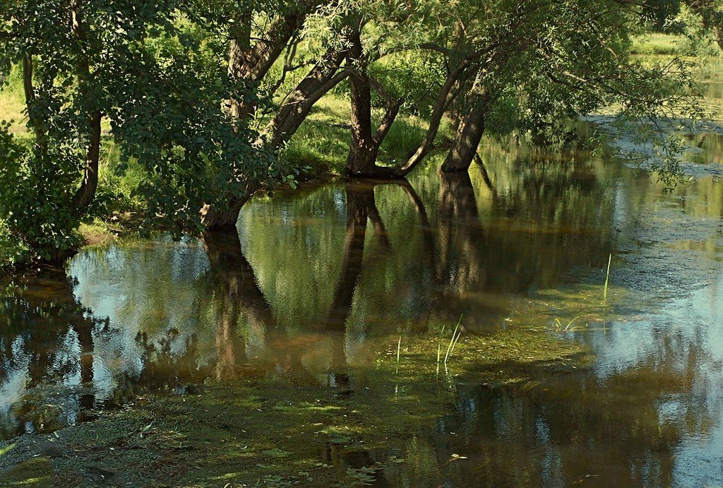 Burnt By The Sun ...