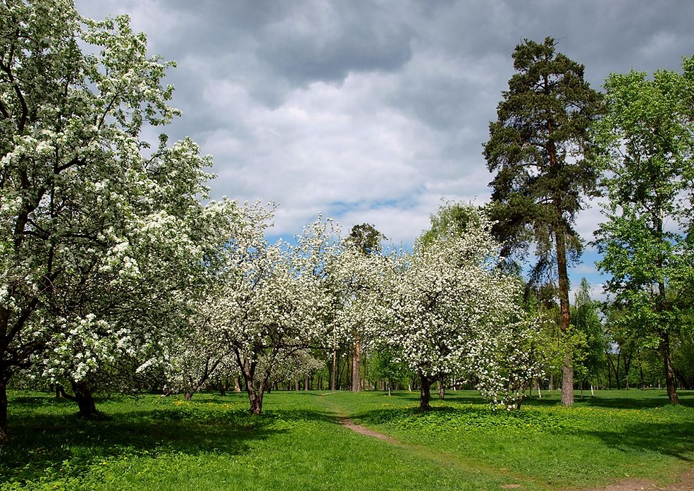 Bei blühenden Gärten ...