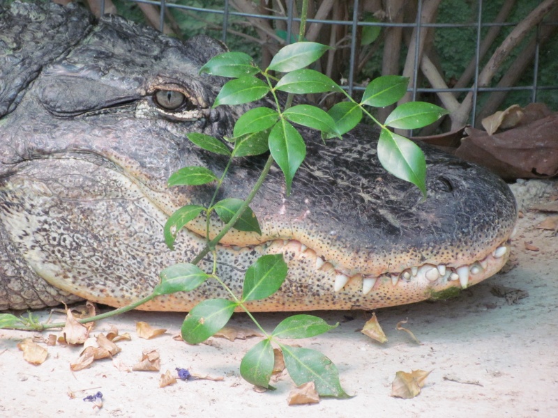 kto ne spratalsja ja ne vinovat...