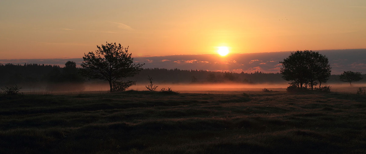 Im sanften Licht der Morgendämmerung