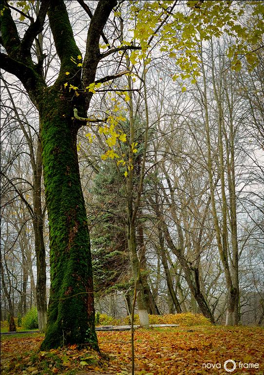 ... Herbst Farbe - am Abend, die ...