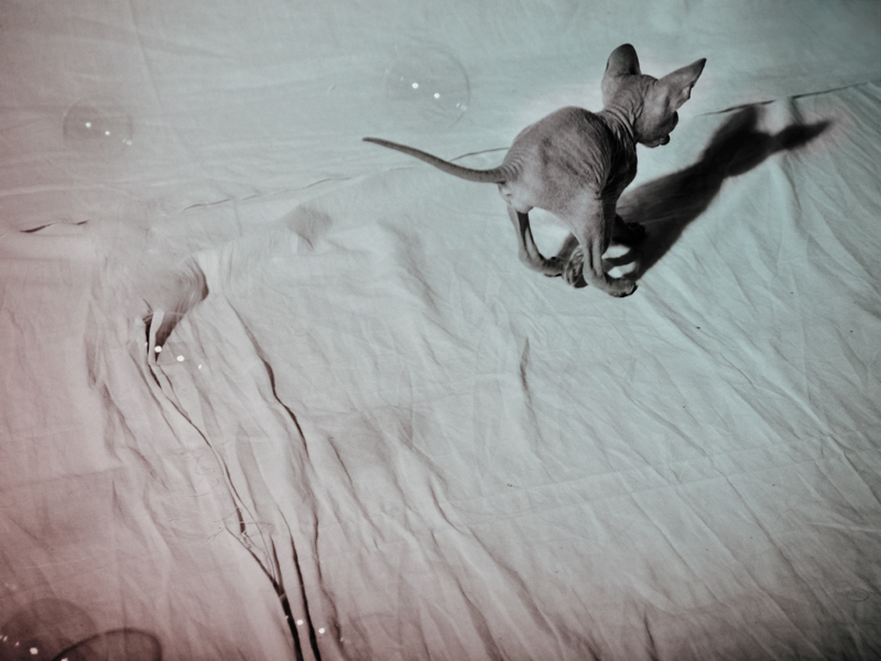 Loki und sein Freund:)