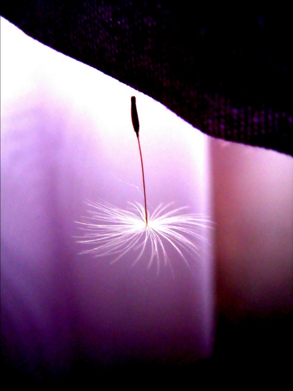 waiting for breath....