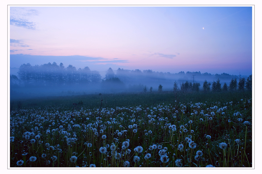 eine halbe Stunde vor rasveta