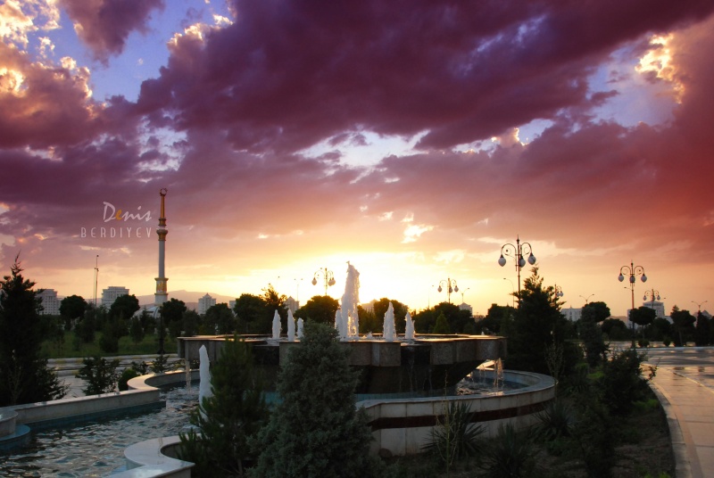 Stella - Eine neue Perspektive