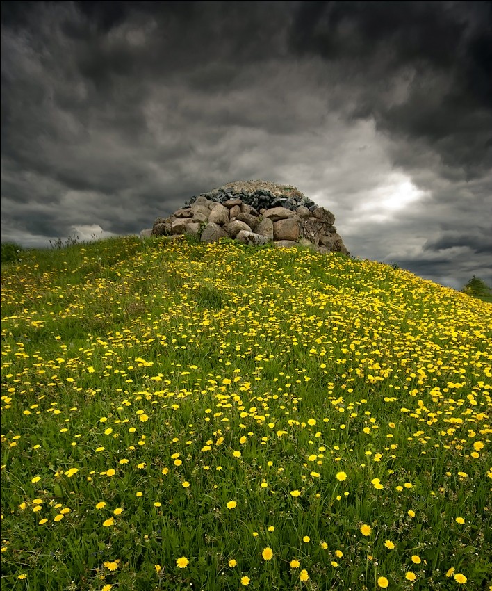 "Ameisenhaufen ....»