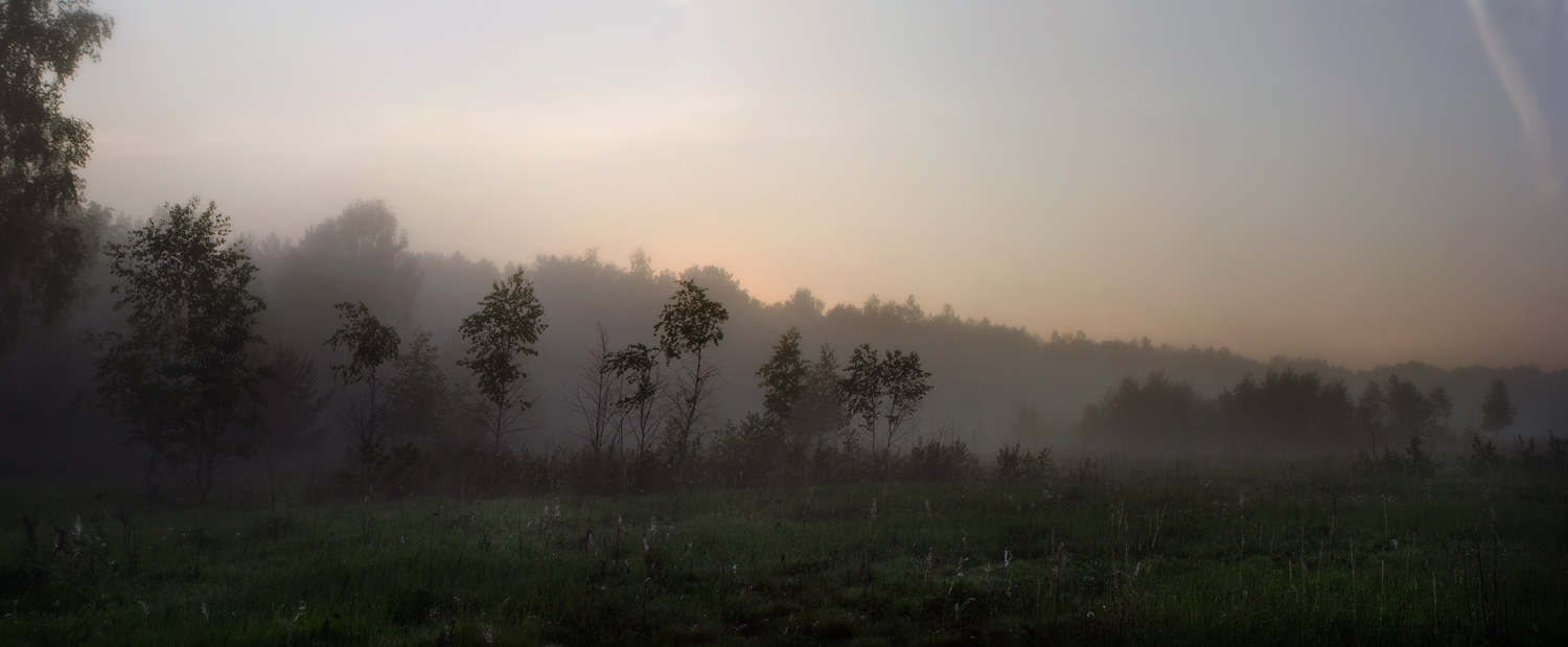 Zwischen Nacht und Morgen, zwischen Wald und Feld
