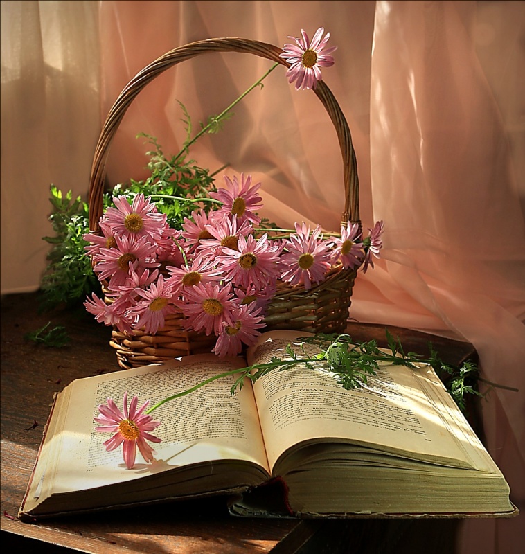 Korb mit rosa Gänseblümchen