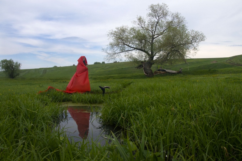 Little Red Riding Hood