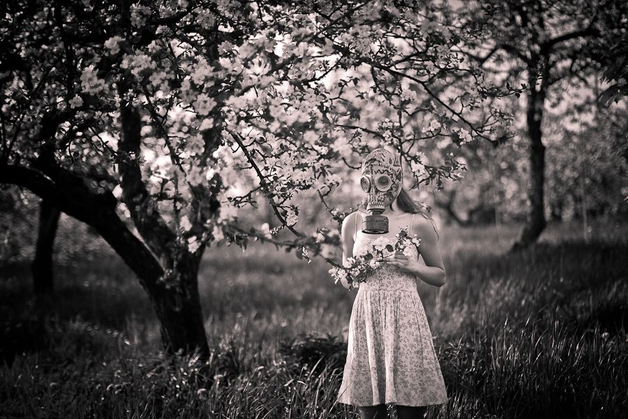 Es war Frühling ...