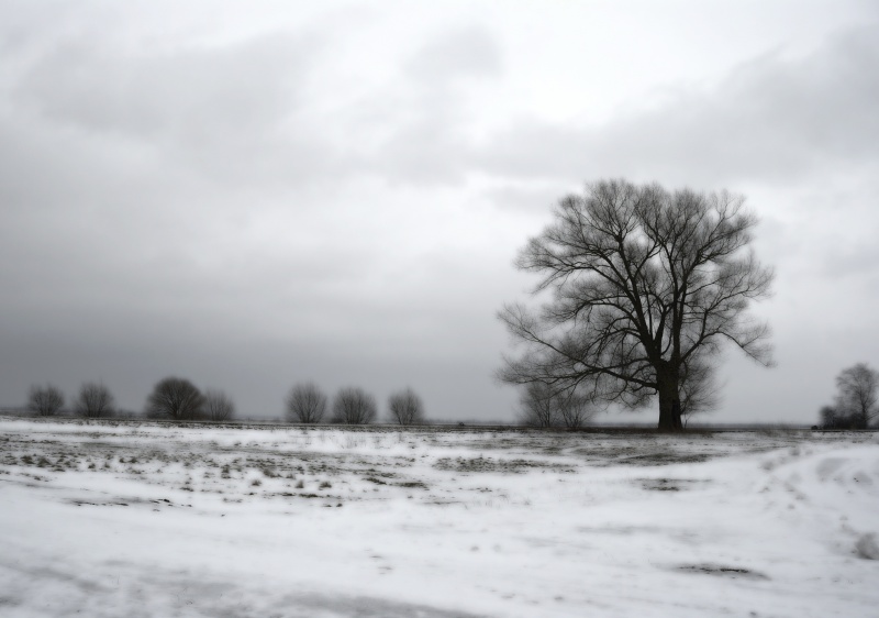 Die weltlichen Reichtum