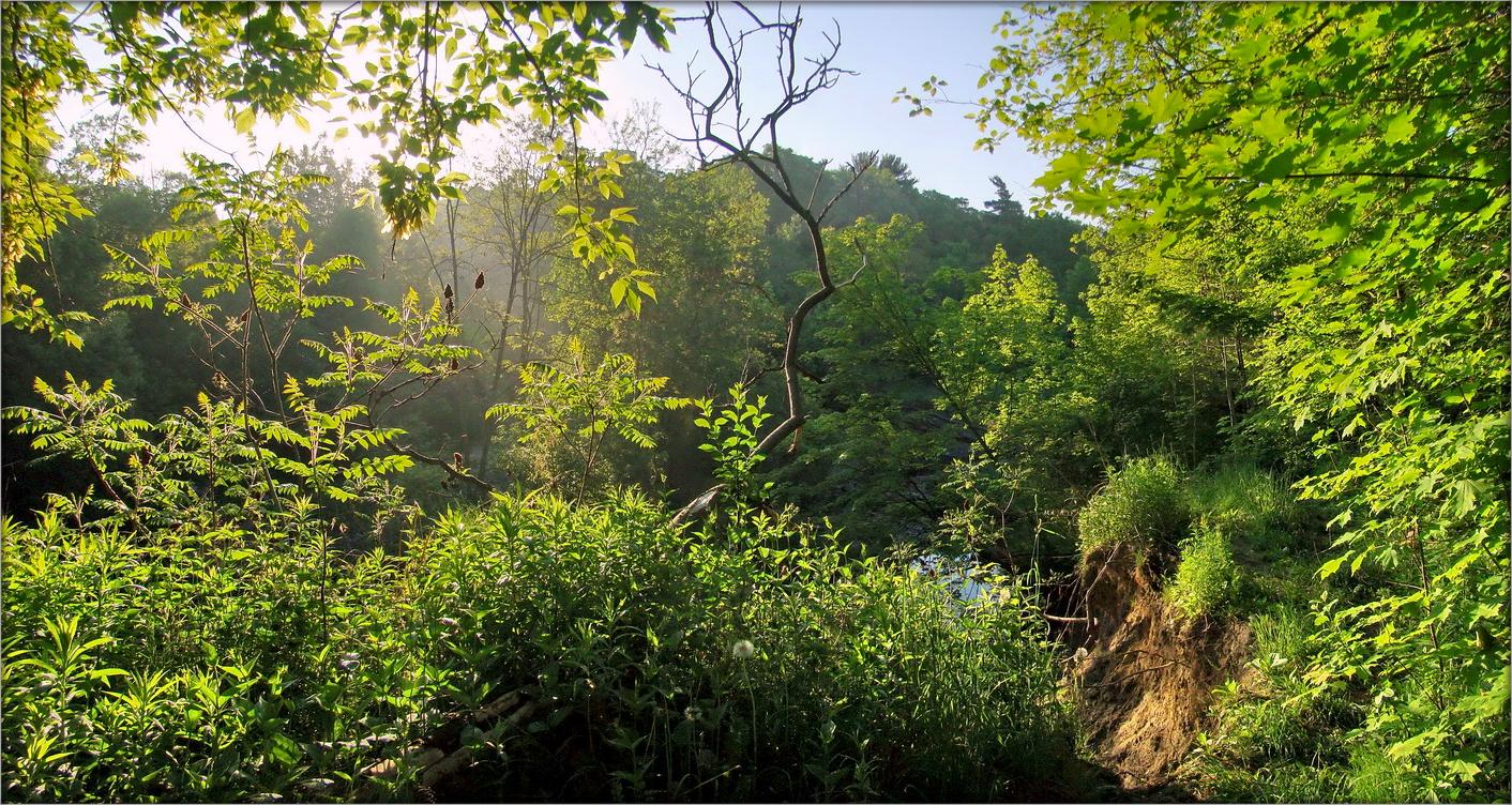 ersten Tag des Sommers
